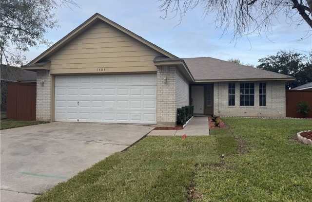 3405 San Esteban Street - 3405 San Esteban Street, Mission, TX 78572