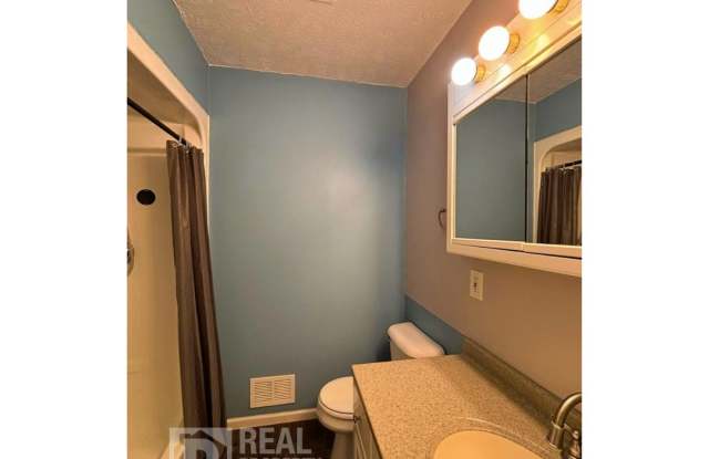 Beautiful 3 Bedroom, 2 Bathroom Home in Clarksville, MI photos photos