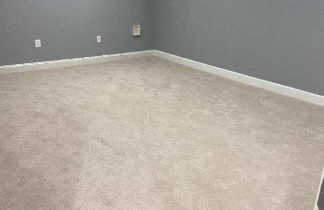 2176 Port Potomac Ave Basement Gallery 3