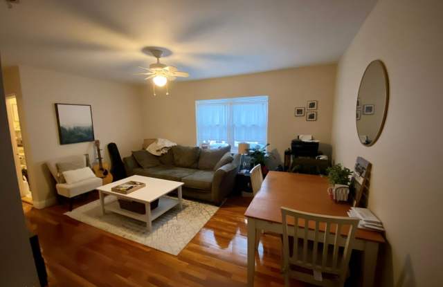 Huge and Sunny Apt near Cleveland Circle and T's! Heat and Hot Water Included! Cat Friendly! photos photos