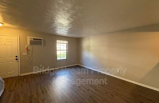 155 Forest Street Gallery 3