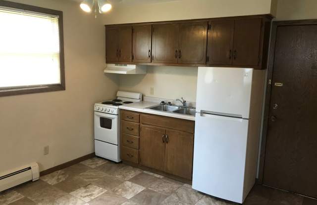 Forestview 1 Bedroom Lower Unit Gallery 4