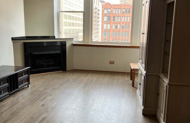 161 West Harrison Street photos photos