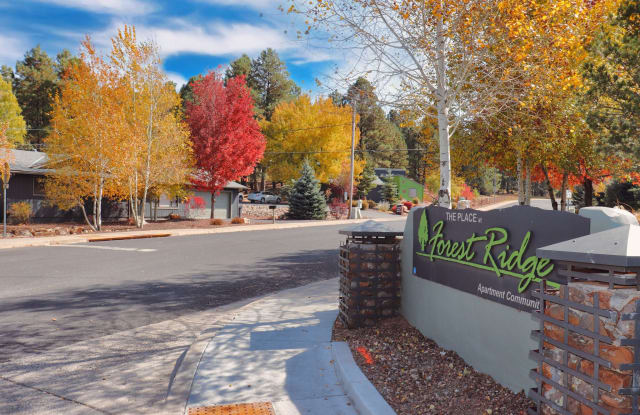 The Place At Forest Ridge Apartments photos photos