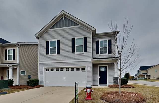 437 Red Poll Way - 437 Red Poll Way, Columbia, SC 29209