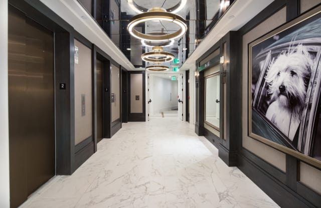 The Huntley Luxury Apartments Gallery 3