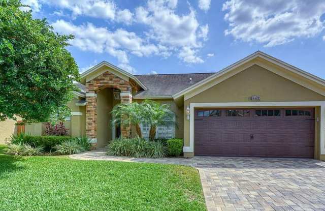 4 bed, 2 bath pool home in Citrus Park photos photos