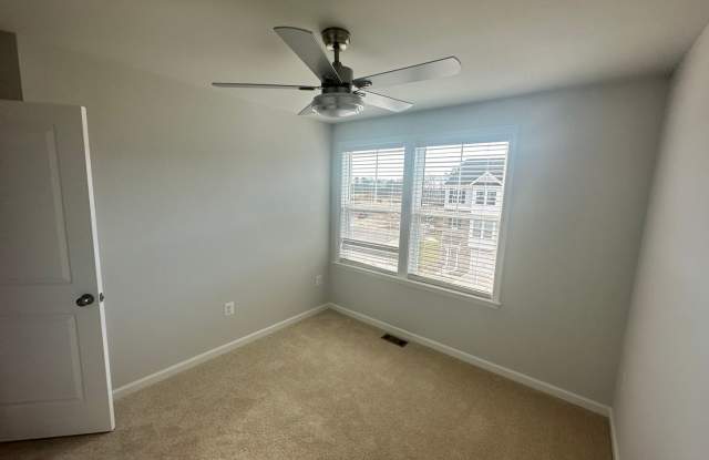 CARPET FREE ALL HARD FLOORS Gallery 4