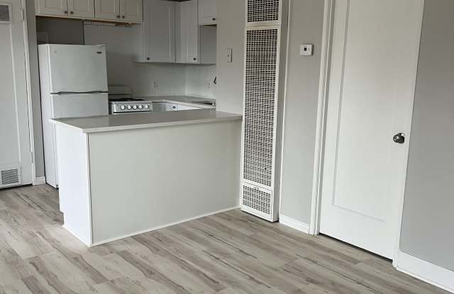 424 Lincoln St. Gallery 2