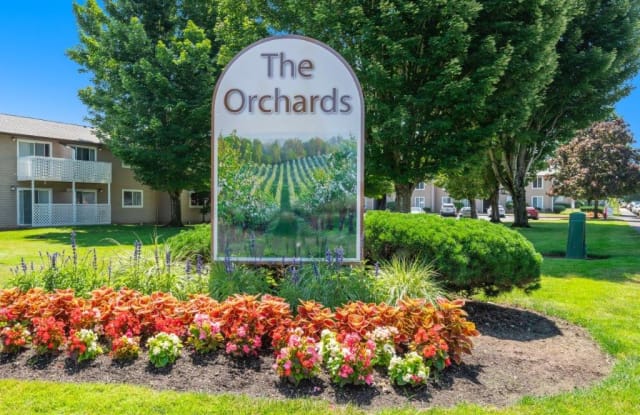Orchards photos photos
