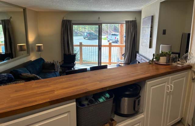 1 Bedroom Rental in Breckenridge.  This November 8th, through March 31st, 2027.  One Occupant Only, No Pets. Gallery 3