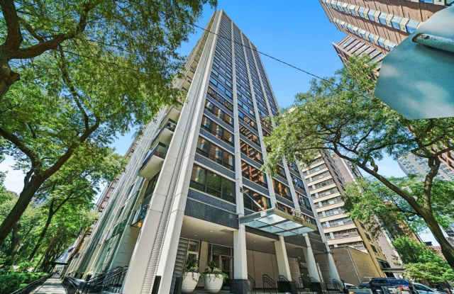 2 bedroom condo with built in washer/dryer on the Gold Coast - 222 East Pearson Street, Chicago, IL 60611