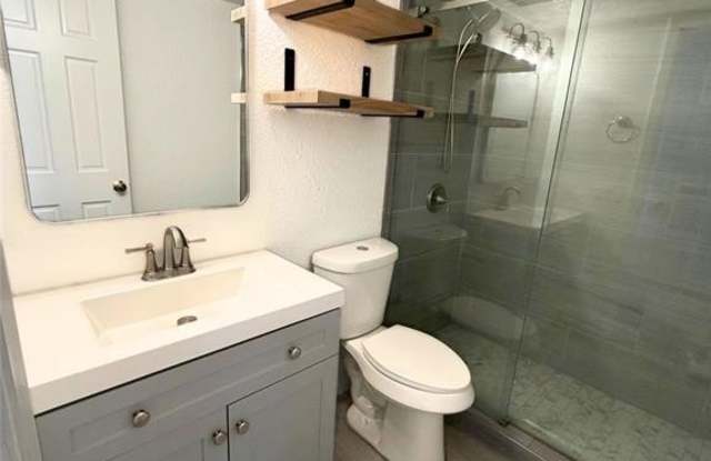 2803 Rio Branco Street - 2803 Rio Branco Street, Farmers Branch, TX 75234