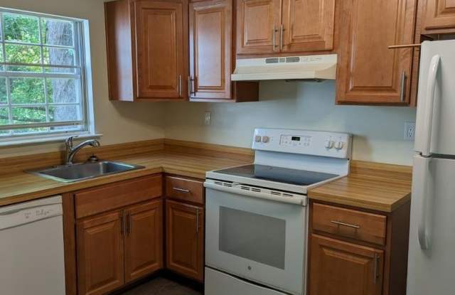 1317 OLD PINE CT Gallery 3