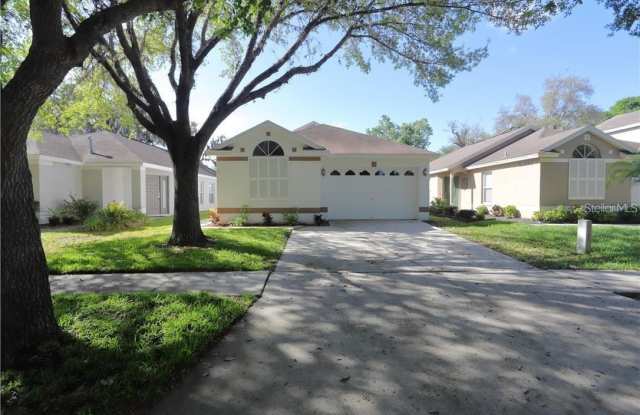 5826 TANAGERLAKE ROAD - 5826 Tanagerlake Road, Fish Hawk, FL 33547