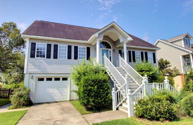 355 Clayton Drive - 355 Clayton Drive, Charleston, SC 29414