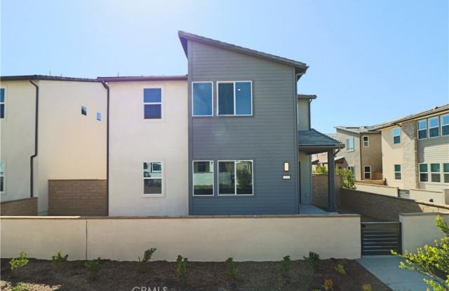 273 Shoveler photos photos