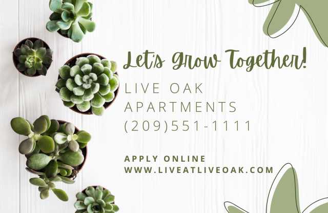 Live Oak photos photos