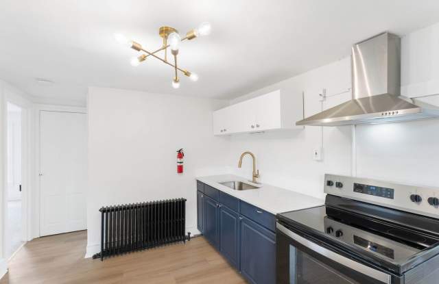 Renovated 3-Bedroom Apartment with Bonus Finished Attic & Spacious Shared Backyard Gallery 1
