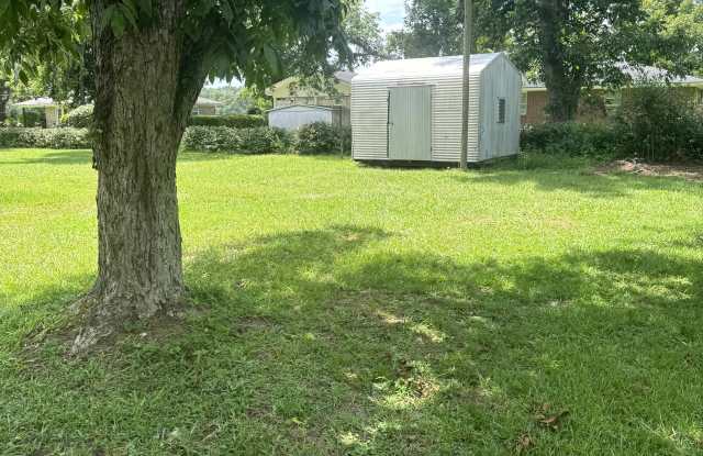 105 Rabun Avenue - 105 Rabun Avenue, Reidsville, GA 30453