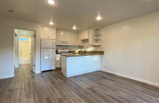 Updated 1 Bedroom Apartment in Convenient Downtown Santa Barbara Location photos photos