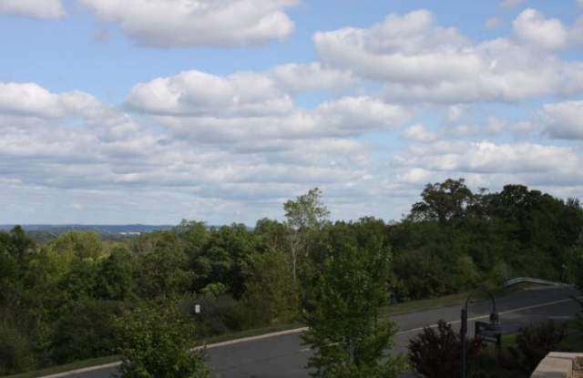 Abbey Lane photos photos