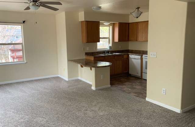 Charming Two Bedroom Apartment in the Heart of Reno Gallery 3