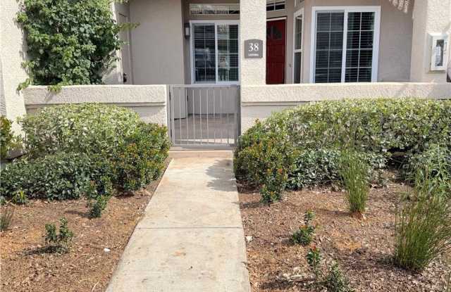 38 Cardinal photos photos 38 Cardinal photos photos