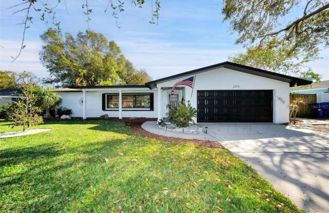2375 MIDDLECOFF DRIVE - 2375 Middlecoff Drive, Dunedin, FL 34698