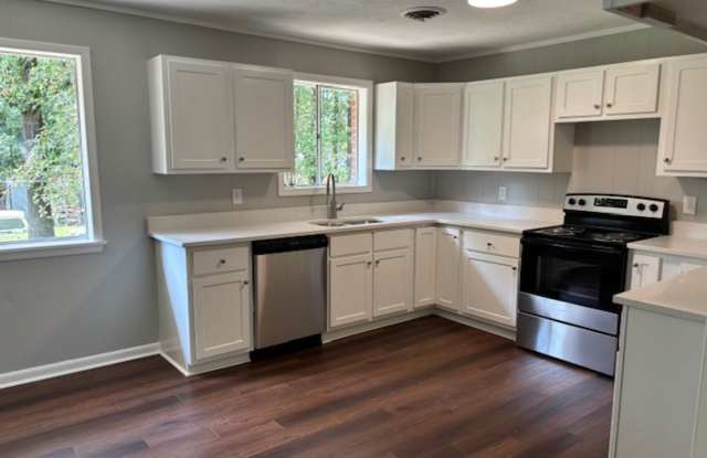 Renovated 4 Bedroom 1 Bath Apartment for Rent! Gallery 3