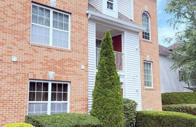 1091 Morning Glory Drive Gallery 2