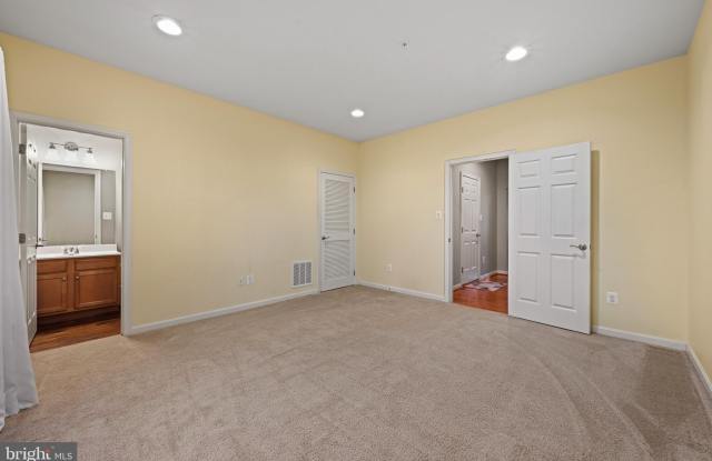 44574 RIVER OTTER Drive Gallery 4