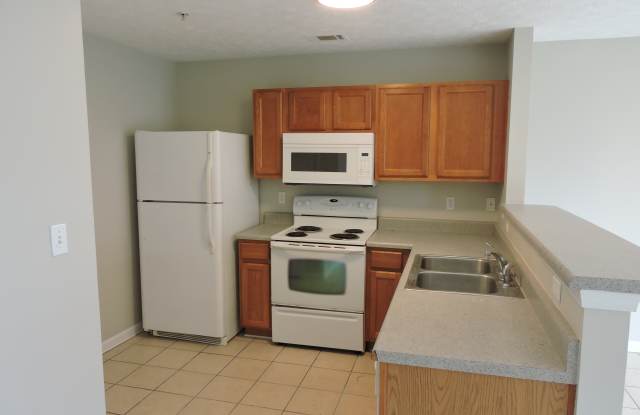 207 Swaying Pine Ct Gallery 2