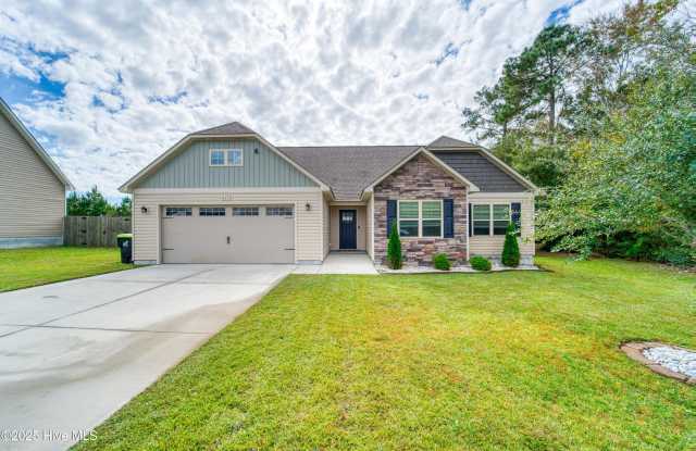 217 Tappi Terrace - 217 Tappi Terrace, Onslow County, NC 28539