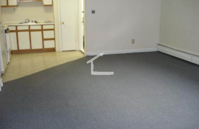 Large, pet friendly basement level studio! - 14 Vinal Street, Boston, MA 02135