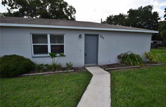 893 SCHOOLHOUSE ROAD - 893 School House Road, Medulla, FL 33813
