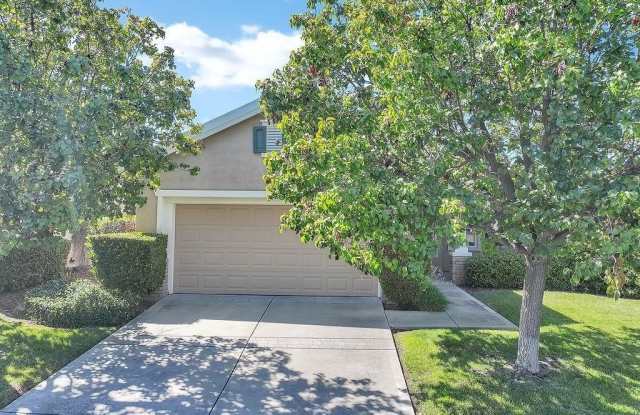 567 Quindell Way Gallery 2
