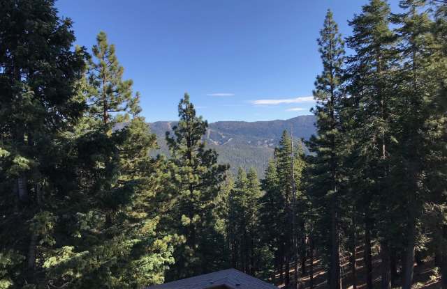 Beautiful Remodeled Mountain Home - 964 Dorcey Drive, Incline Village, NV 89451