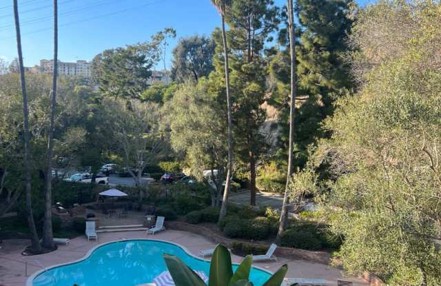 1 Bedroom Condo in Mission Valley photos photos