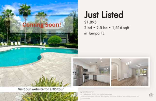9828 Fan Palm Way - 9828 Fan Palm Way, East Lake-Orient Park, FL 33610