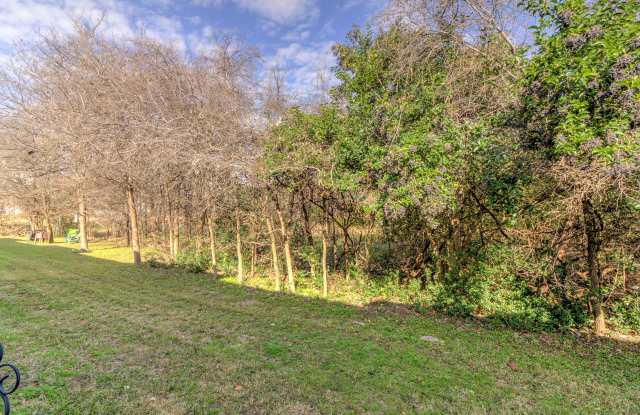 3009 Whisper Oaks Lane Gallery 3