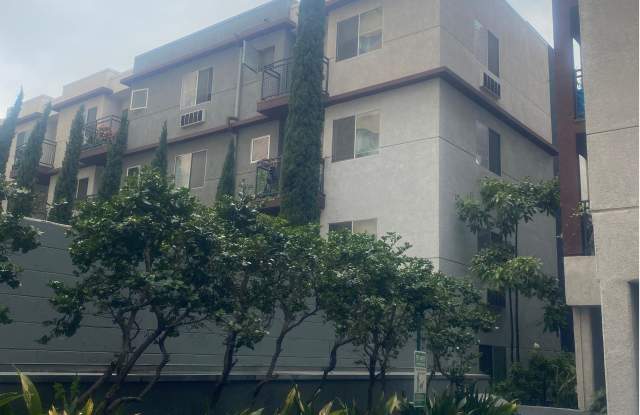 San Lucas Apartments Gallery 4
