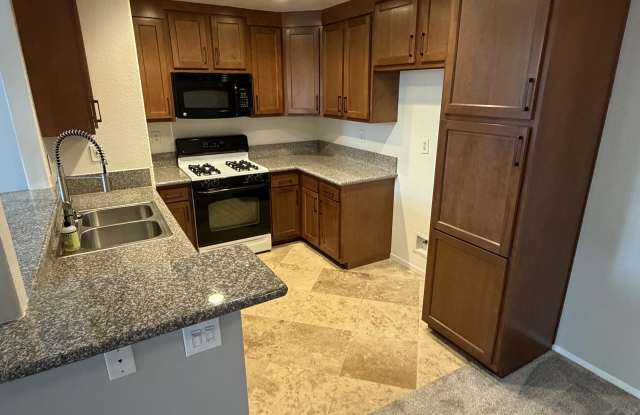 203 Cinnamon Teal Gallery 2