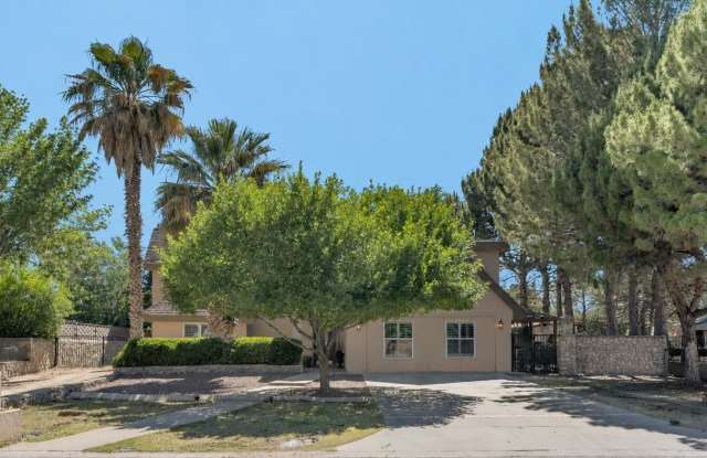 6007 Oleaster Drive Gallery 3