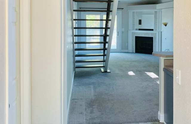3bdrm/2ba + Single Family Home Heart of New Bern! Fenced Yard! Gallery 4