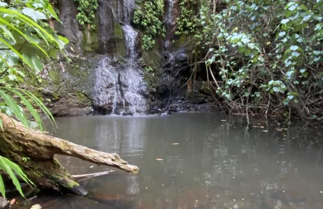 630 East Kuiaha Road photos photos