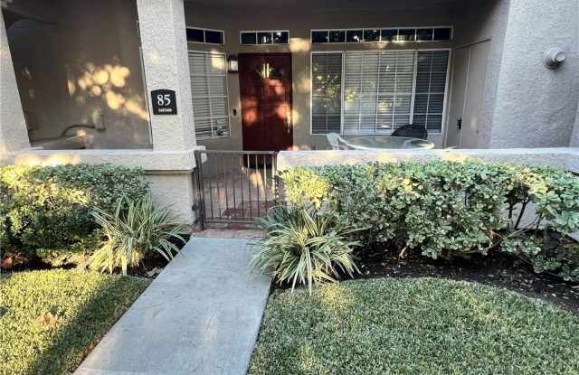 85 Castano photos photos