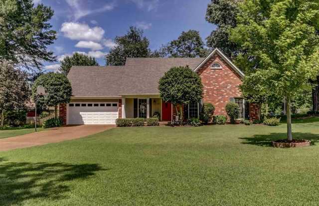 388 OLD COLLIERVILLE-ARLINGTON photos photos