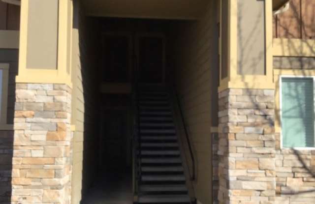 886BONSAI photos photos 886BONSAI photos photos