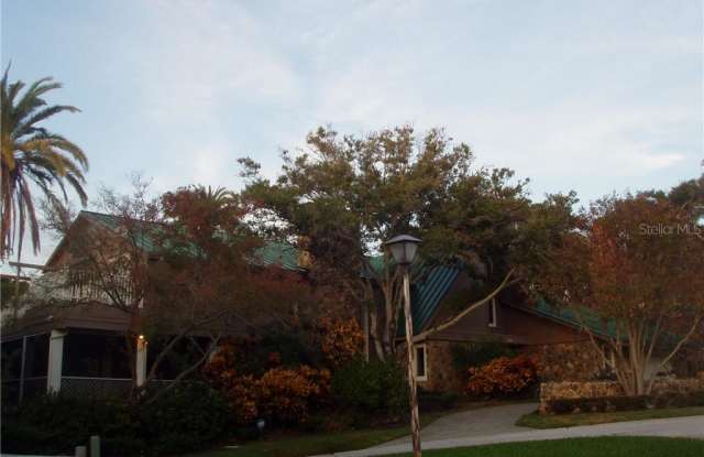 294 SPOTTIS WOODE COURT - 294 Spottis Woode Court, Clearwater, FL 33756